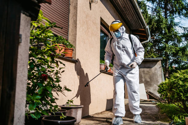 Best Affordable Pest Control Services  in Brackettville, TX