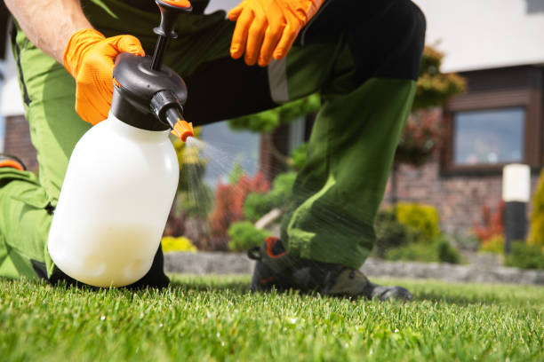 Best Residential Pest Control  in Brackettville, TX