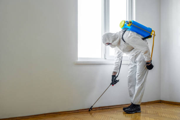 Best Residential Pest Control  in Brackettville, TX