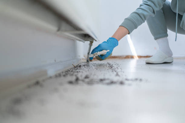 Best Pest Control for Businesses  in Brackettville, TX
